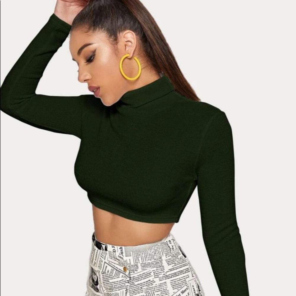 Turtle Neck Rib-Knit Crop Top